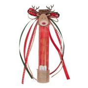 Χειροποίητη μπομπονιέρα σωλήνας christmas 6129