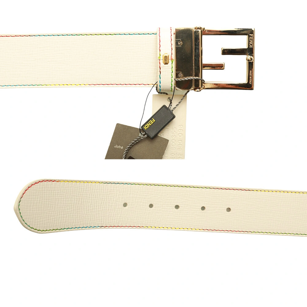 Fendi Multicolor & White Coated Canvas FF Zucca Reversible