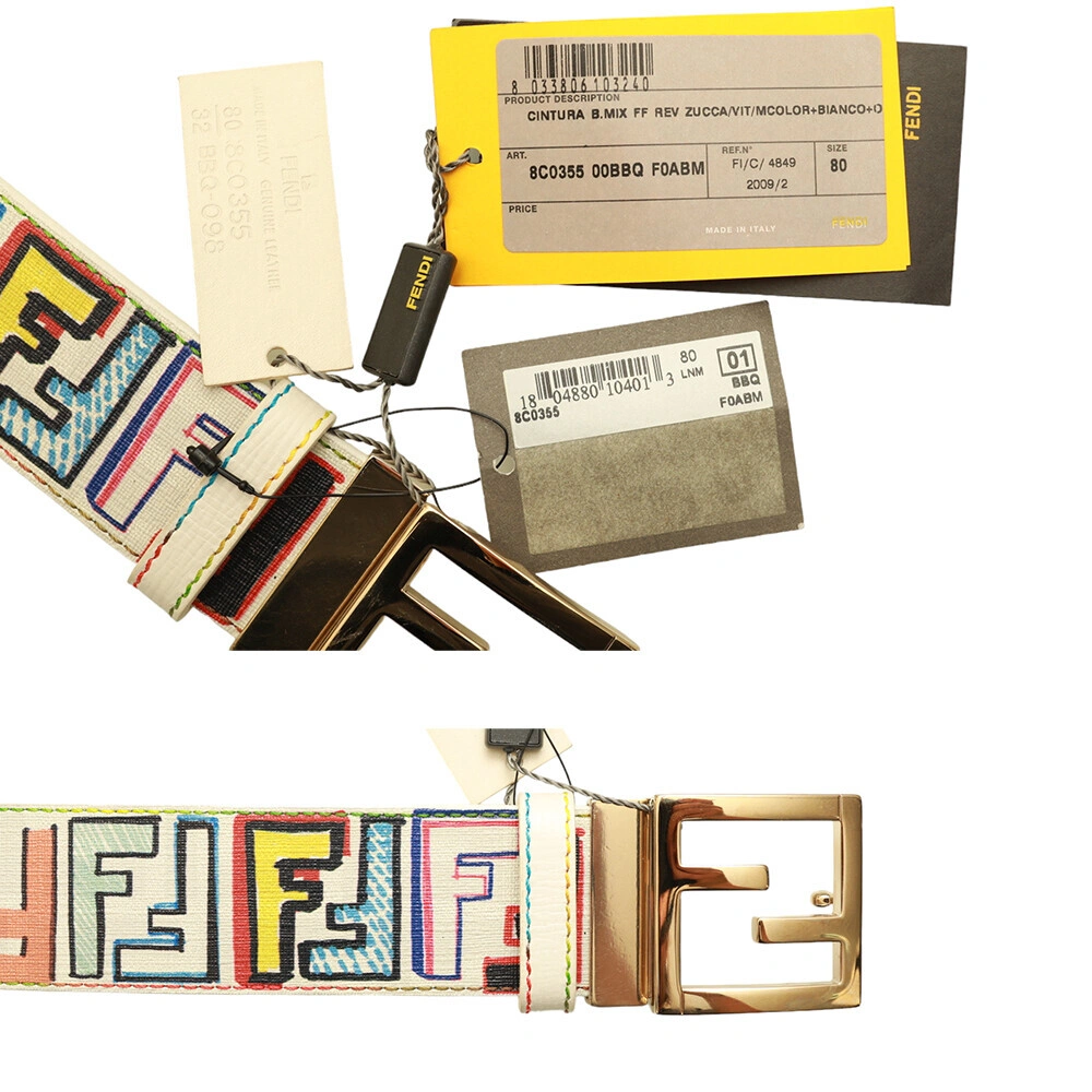 Fendi Multicolor & White Coated Canvas FF Zucca Reversible