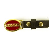 DSquared2 Woman's Brown & Oval Red Enamel Gold tone Leather Belt 99cm 72TP092