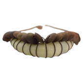 Ethnic Tribal Wooden Discs Leather Cream V- Shaped Heavy Bone Necklace