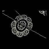 Peachoo + Krejberg Black Embellished Long Scarf – Floral Beadwork Design – New with Tags