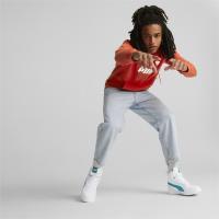 Puma ESS Big Logo Hoodie FL (s) Ανδρική φούτερ με κουκούλα - 586687-33