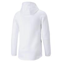 Puma Evostripe Hoodie Ανδρική φούτερ με κουκούλα - 849914-02