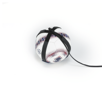 GO KICK Training Aid