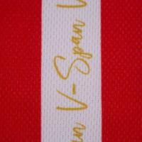 Anniversary Spanoulis Jersey Limited Edition
