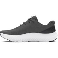 UA BGS Surge 4