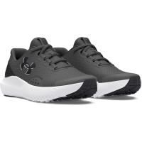 UA BGS Surge 4