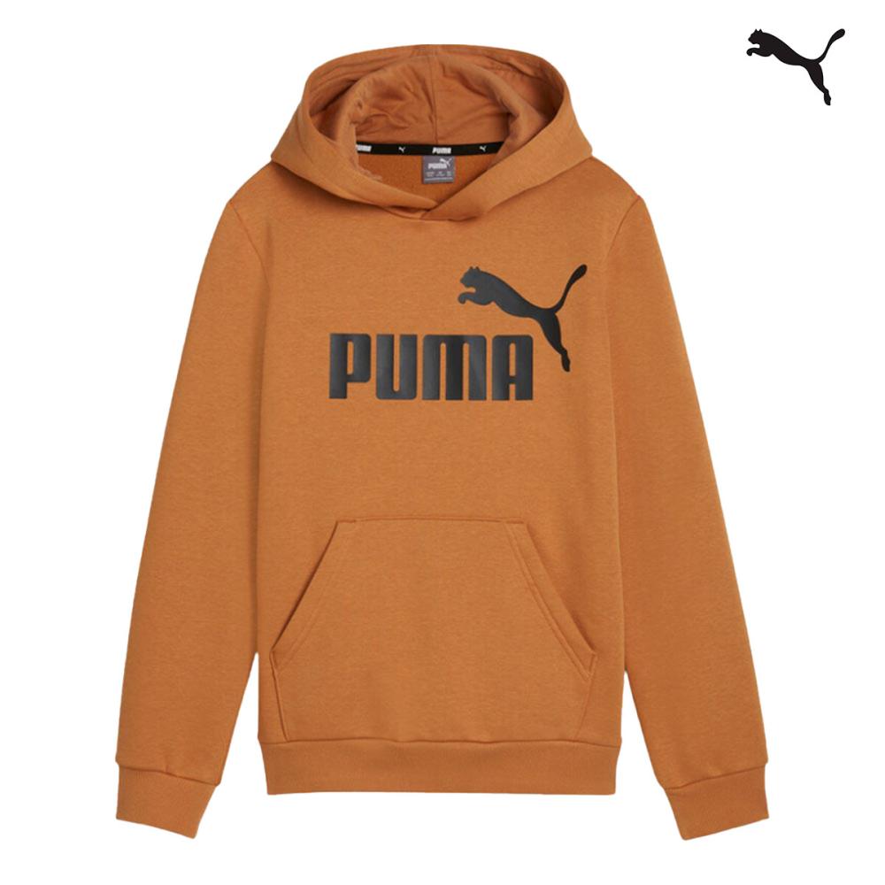 586965 ESS Big Logo Hoodie FL B ΦΟΥΤΕΡ PUMA
