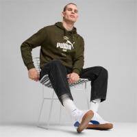 681741 PUMA POWER Graphic Hoodie FL ΦΟΥΤΕΡ PUMA