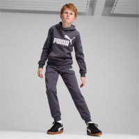 586965 ESS Big Logo Hoodie FL B