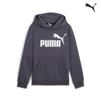 586965 ESS Big Logo Hoodie FL B