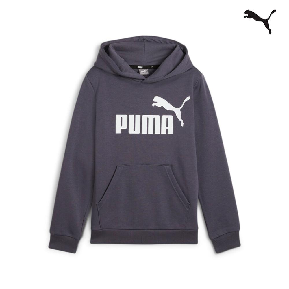 586965 ESS Big Logo Hoodie FL B