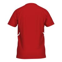 Panserraikos FC 2025/2026 Jersey