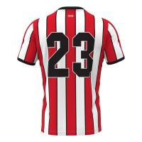 Panserraikos FC 2025/2026 Home Jersey ΕΝΗΛΙΚΩΝ