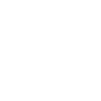 Spot Team logo