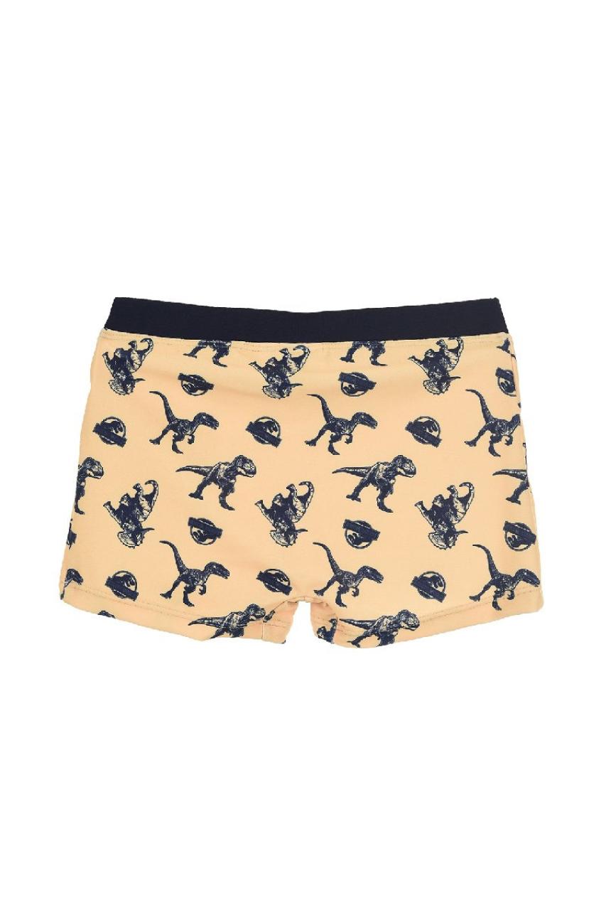 Μαγιό μπόξερ αγόρι JURASSIC WORLD-EV1905-YELLOW φωτογραφία