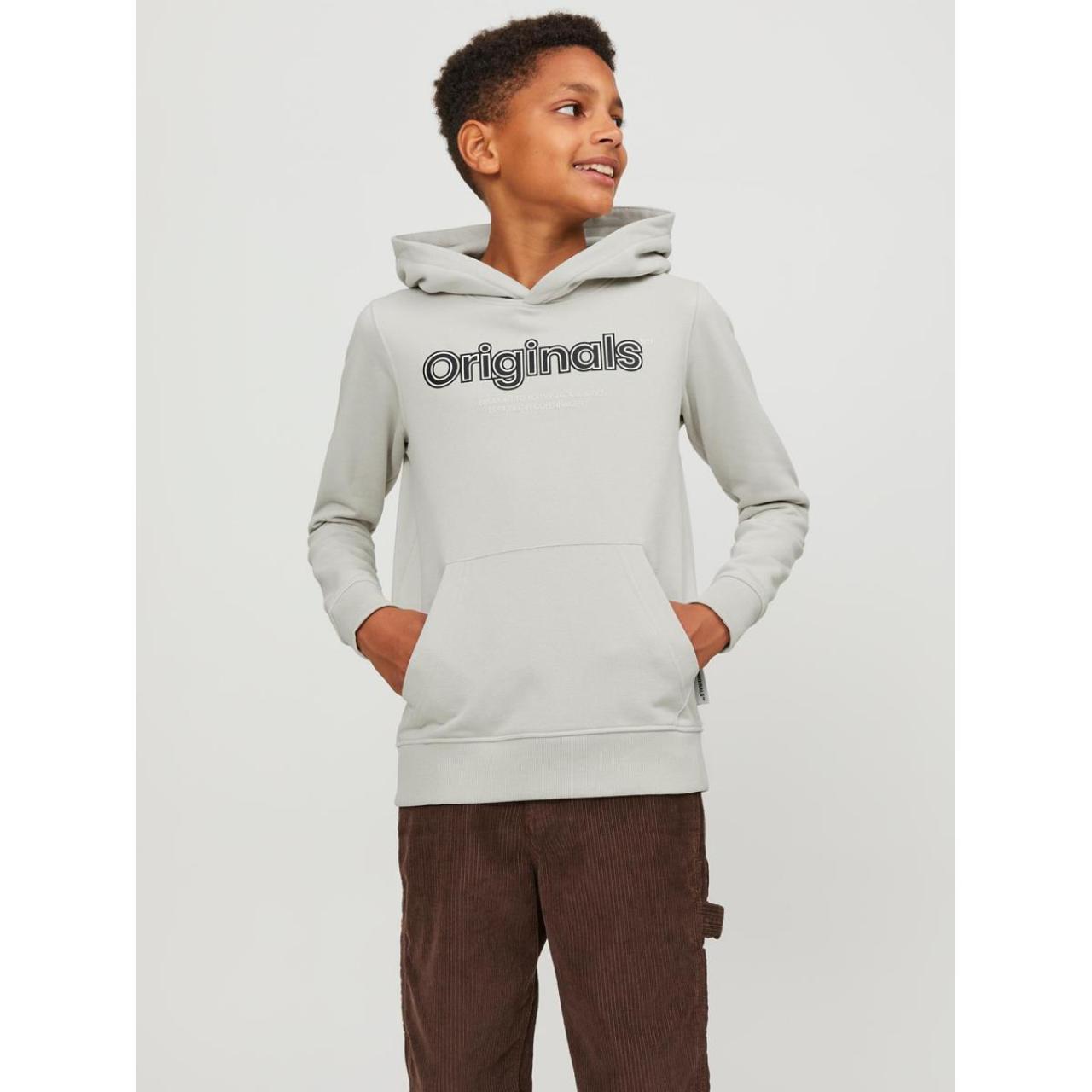Μπλούζα φούτερ αγόρι Jack & Jones-12247614-Moonbeam φωτογραφία