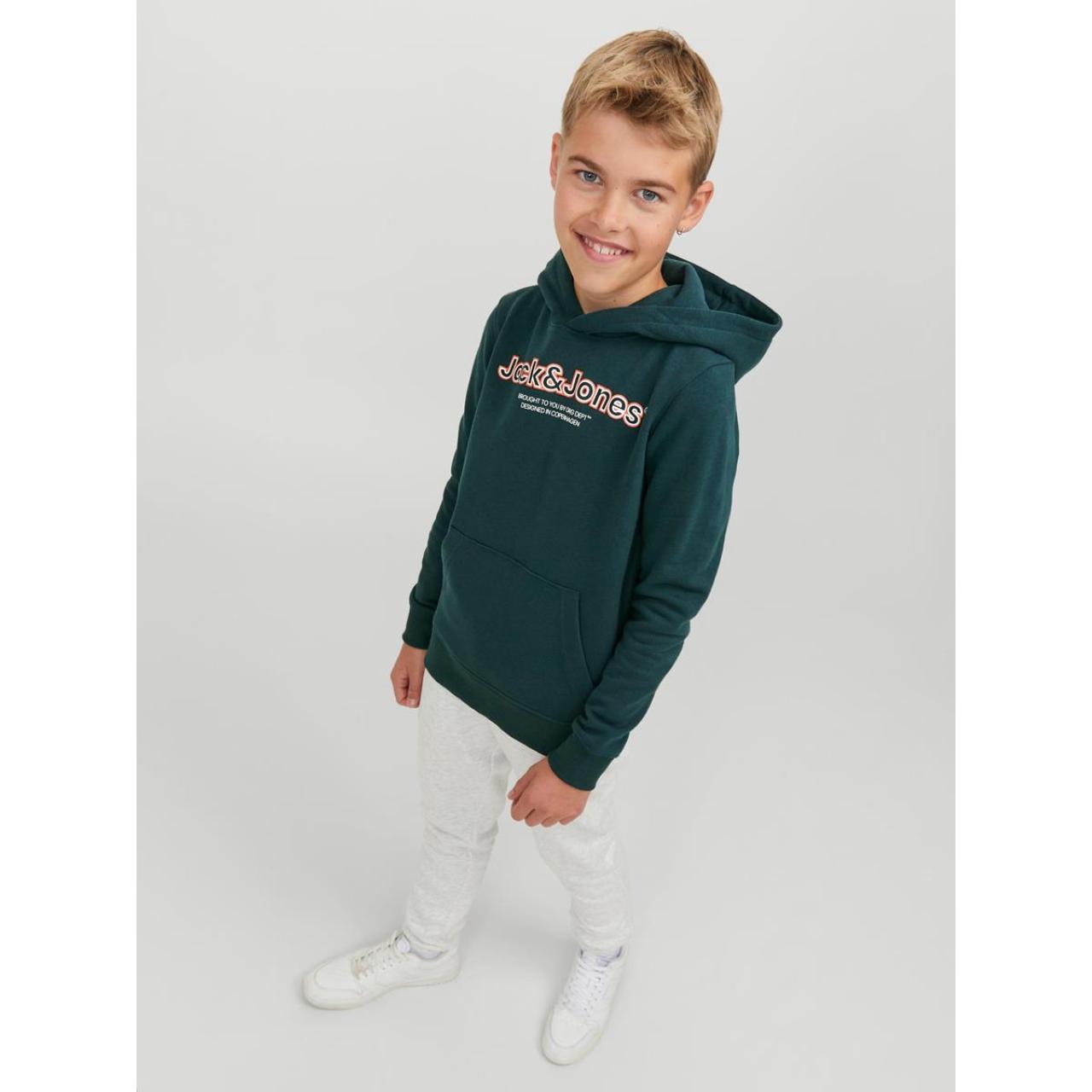 Μπλούζα φούτερ αγόρι Jack & Jones-12247614-Magical Forest φωτογραφία