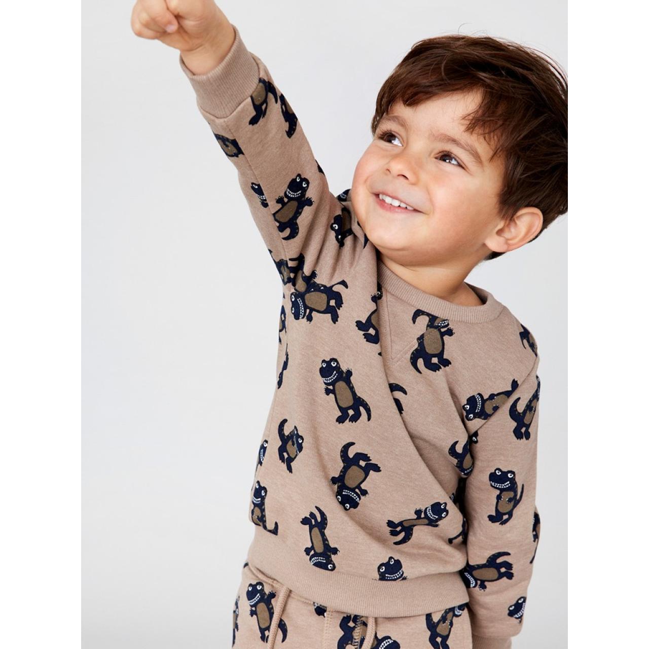 Μπλούζα φούτερ αγόρι Name it-13206640- Affogat φωτογραφία