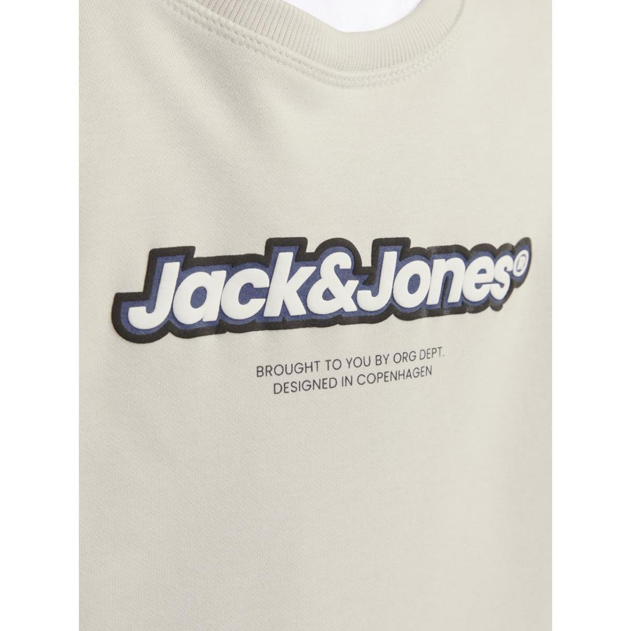 Μπλούζα φούτερ αγόρι Jack & Jones-12267582-Moonbeam φωτογραφία