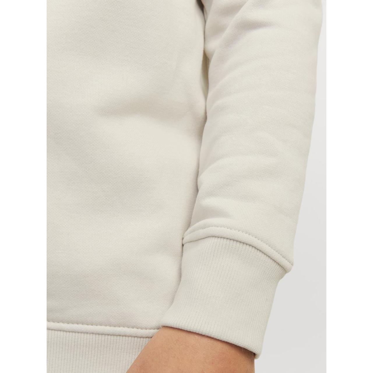 Μπλούζα φούτερ αγόρι Jack & Jones-12267582-Moonbeam φωτογραφία