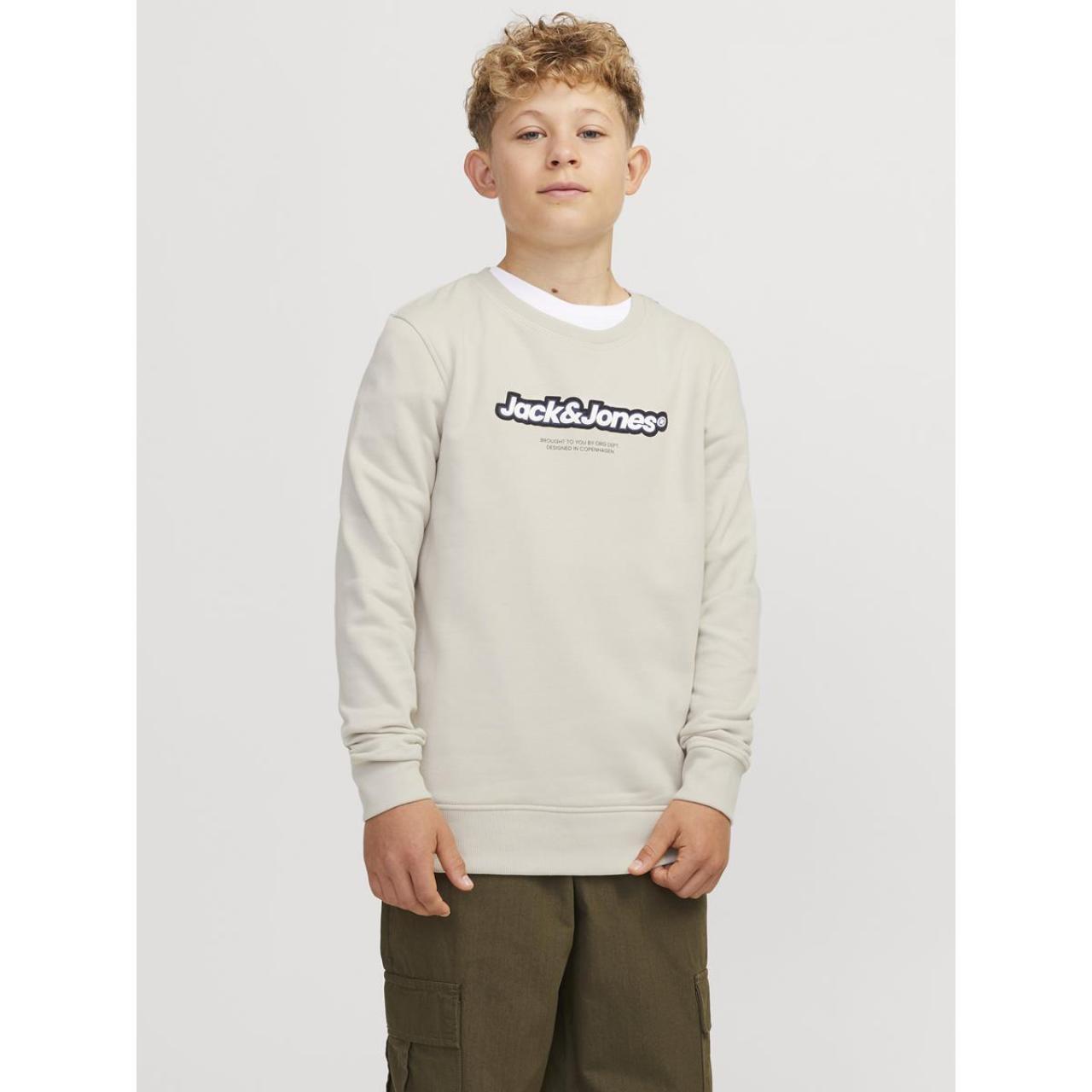 Μπλούζα φούτερ αγόρι Jack & Jones-12267582-Moonbeam φωτογραφία