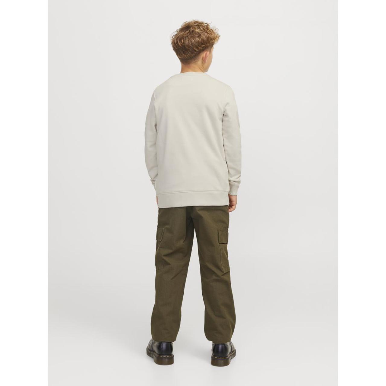 Μπλούζα φούτερ αγόρι Jack & Jones-12267582-Moonbeam φωτογραφία