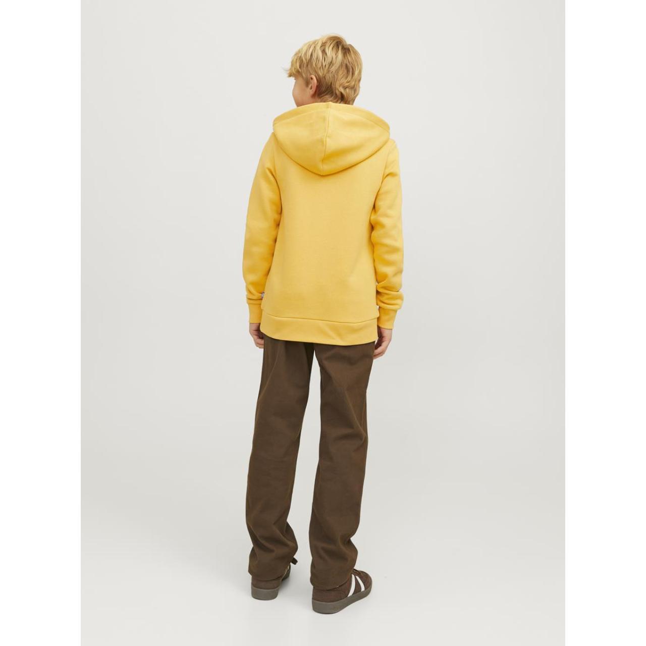 Μπλούζα φούτερ αγόρι Jack & Jones-12258823-Honey gold φωτογραφία