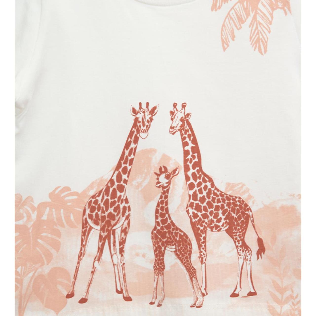 Σετ 3 τεμαχίων αγόρι Restart-25/10272-Green