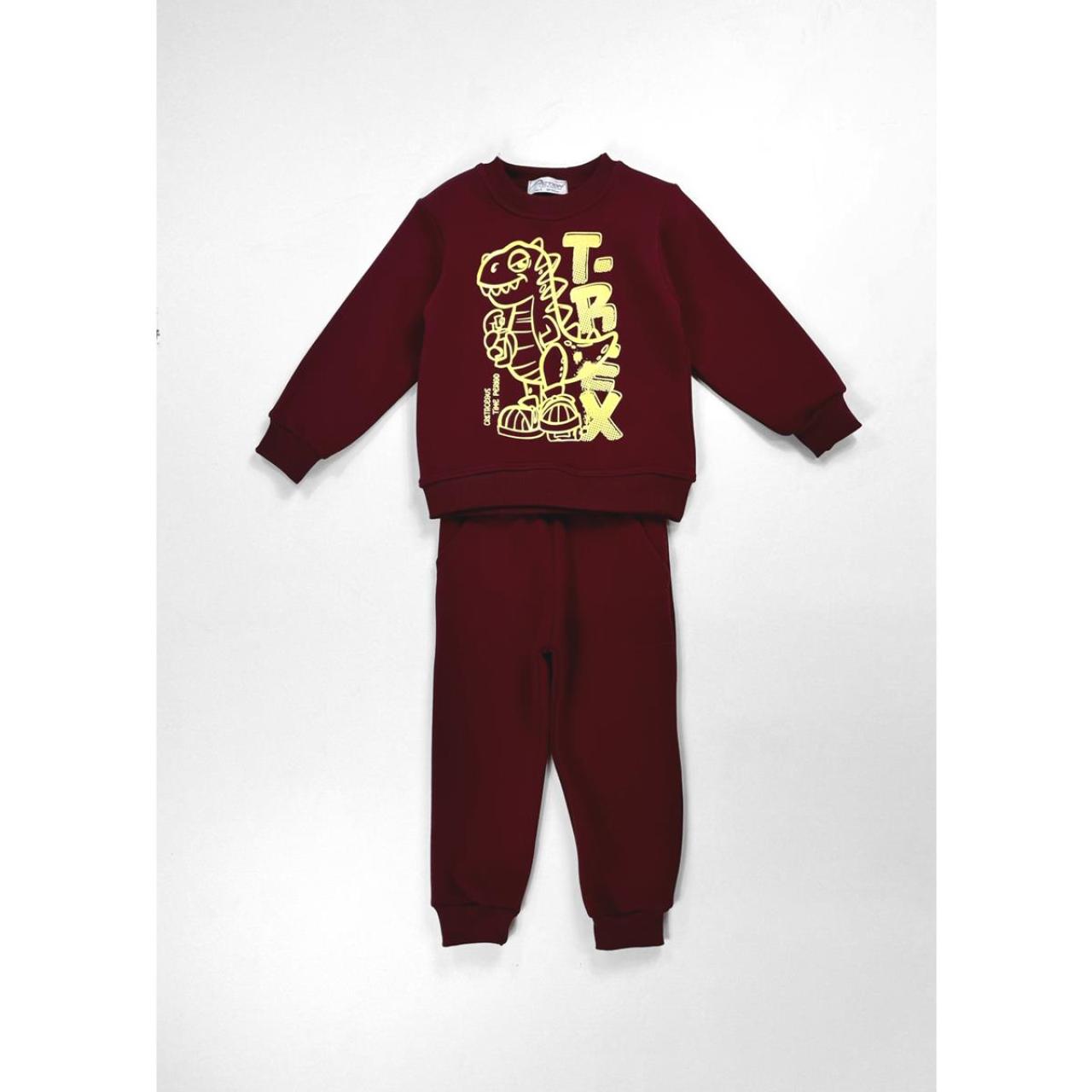 Σετ φόρμα φούτερ αγόρι Action-12520004-Red φωτογραφία