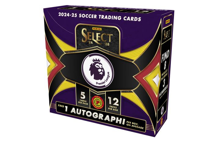 Select 2024-25 EPL International Hobby Box