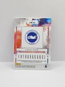 2024-25 PANINI IMPECCABLE EPL LEWIS DUNK ''EXTRAVAGANCE'' PATCH AUTOGRAPH 19/75