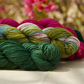 Viva - Symfonie Hand-Dyed Yarns