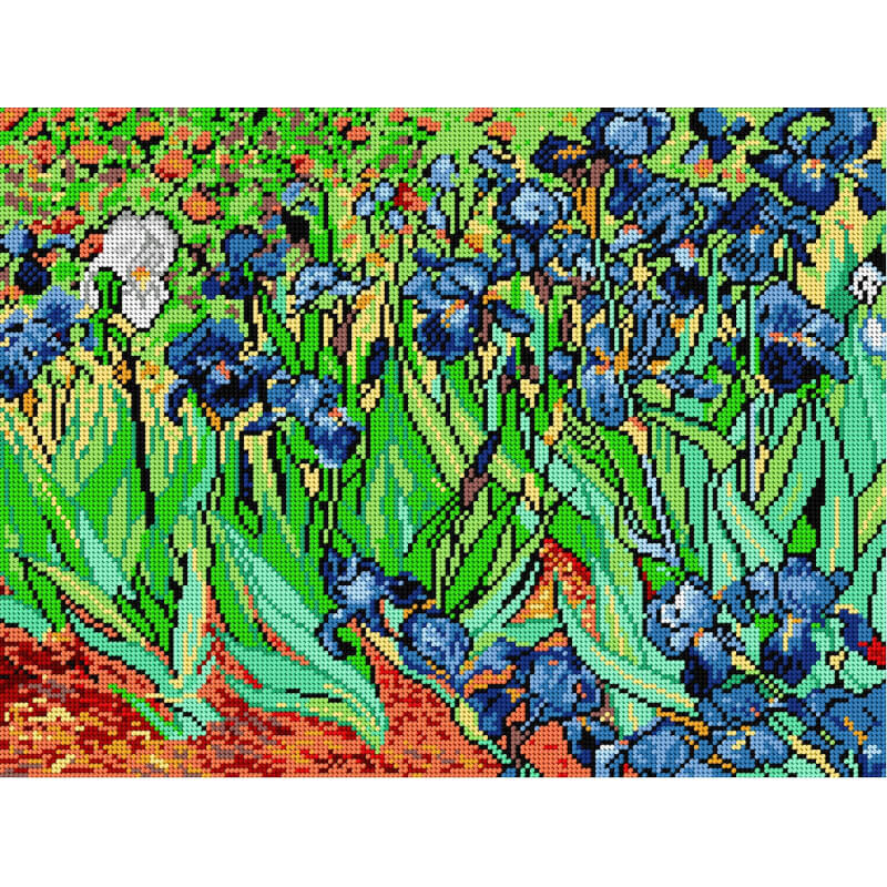 Ίριδες (τυπωμένος καμβάς 36x48cm)