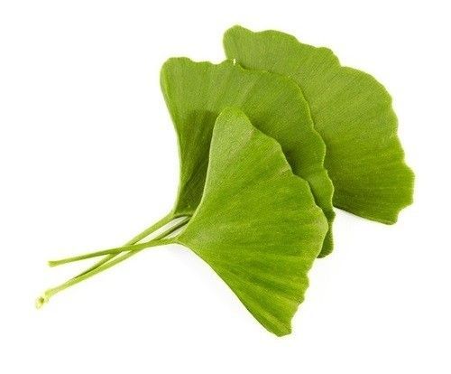 Βάμμα Γκίνγκο Μπιλόμπα 50ml