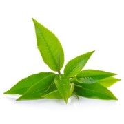 Ανθόνερο Πράσινο Τσάι