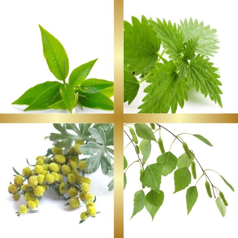 Μίγμα Βαμμάτων με Πράσινο Τσάι, Σημύδα, Αψιθιά & Τσουκνίδα (Ευεξία Σωματικού Βάρους) 50ml