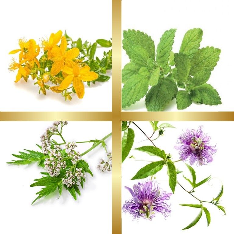 Μίγμα Βαμμάτων με Υπερικό, Μελισσόχορτο, Πασιφλόρα & Βαλεριάνα (Αίσθηση Ηρεμίας & Ευεξίας) 50ml