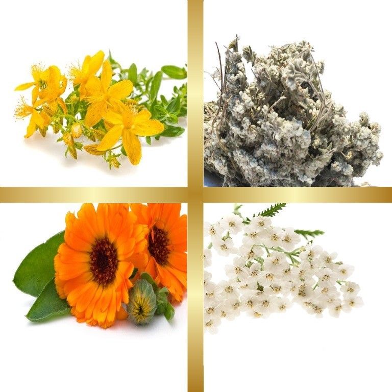 Μίγμα Βαμμάτων με Βαλσαμόχορτο, Αχιλλαία, Καλέντουλα & Λαγοκοιμηθιά (Ευεξία του Παχέος Εντέρου) 50ml