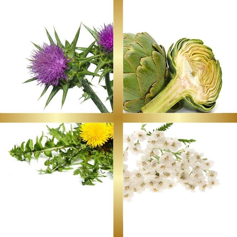 Μίγμα Βαμμάτων με Ταραξάκο, Αγκινάρα, Αχιλλαία & Γαϊδουράγκαθο (Ευεξία Σώματος) 50ml