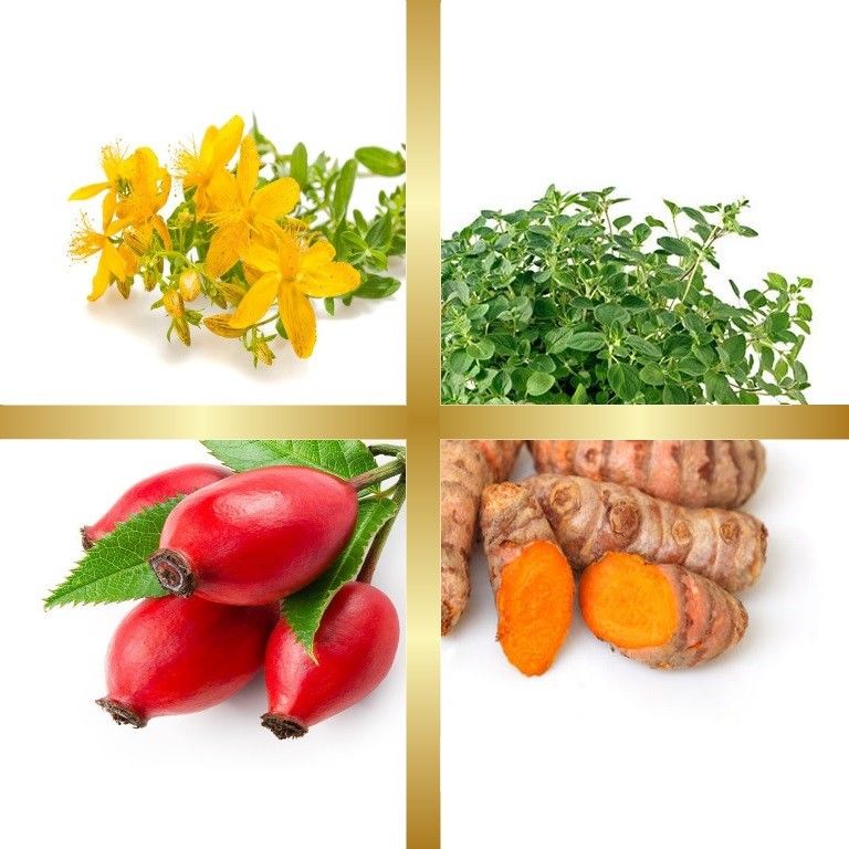 Μίγμα Βαμμάτων με Κουρκουμά, Ρίγανη, Βαλσαμόχορτο & Άγριο Τριαντάφυλλο (Ευεξία Ρευματισμών & Αρθριτικά) 50ml