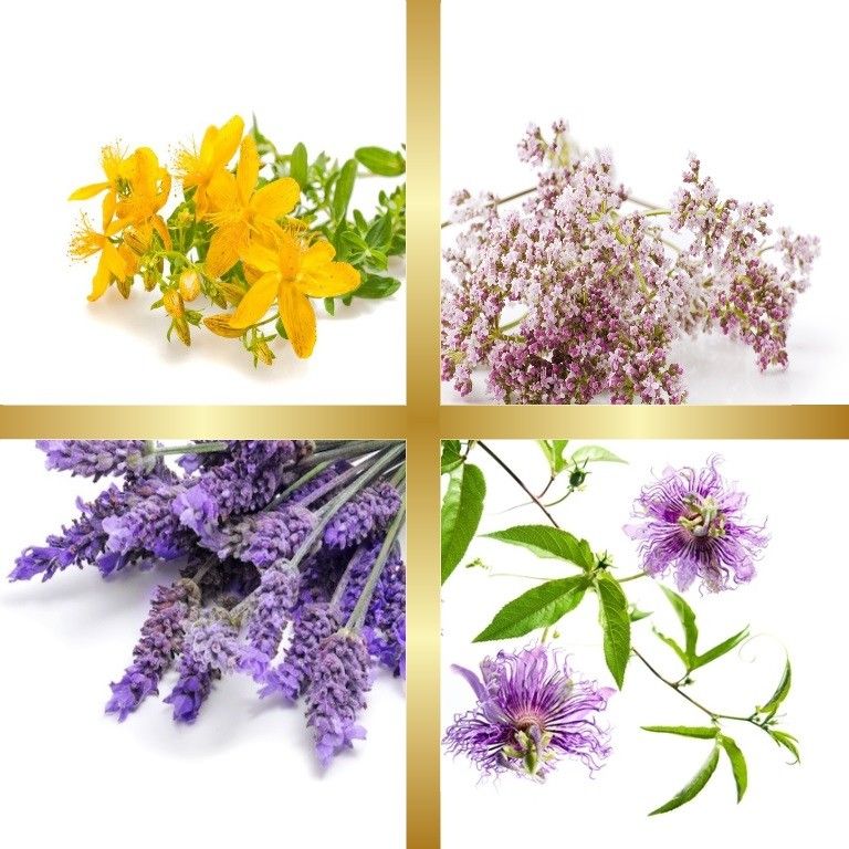 Μίγμα Βαμμάτων με Υπερικό, Λεβάντα, Πασιφλόρα & Βαλεριάνα (Ευεξία Ύπνου) 50ml