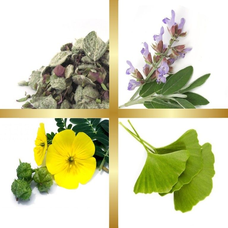 Μίγμα Βαμμάτων με Τριβόλι, Φασκόμηλο, Δίκταμο & Γκίνγκο Μπιλόμπα (Ευεξία Σεξουαλικής Διάθεσης) 50ml