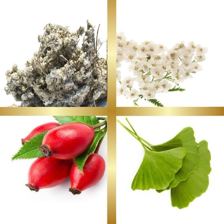 Μίγμα Βαμμάτων με Γκίνγκο Μπιλόμπα, Αχιλλαία, Λαγοκοιμηθιά & Άγριο Τριαντάφυλλο (Ευεξία Φλεβίτιδα & Κιρσών) 50ml