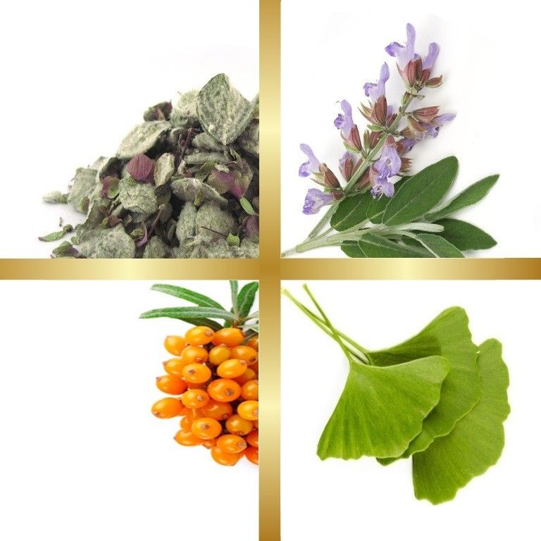 Μίγμα Βαμμάτων με Τζίγκο Μπιλόμπα, Φασκόμηλο, Δίκταμο, Βασιλικό & Γκότζι Μπέρι (Ευεξία Μνήμης) 50ml