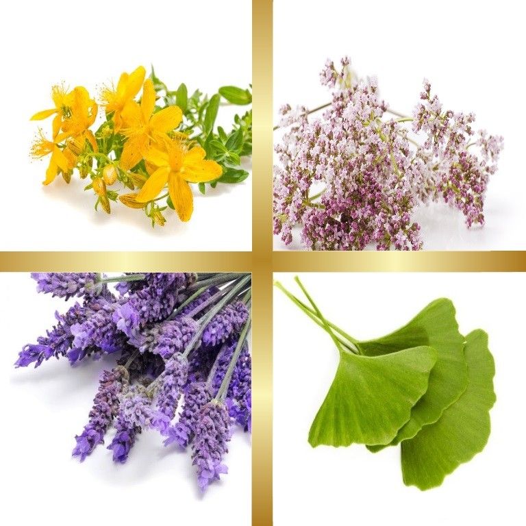 Μίγμα Βαμμάτων με Υπερικό, Λεβάντα, Τζίγκο Μπιλόμπα & Βαλεριάνα (Ευεξία Πονοκεφάλων & Ημικρανιών) 50ml