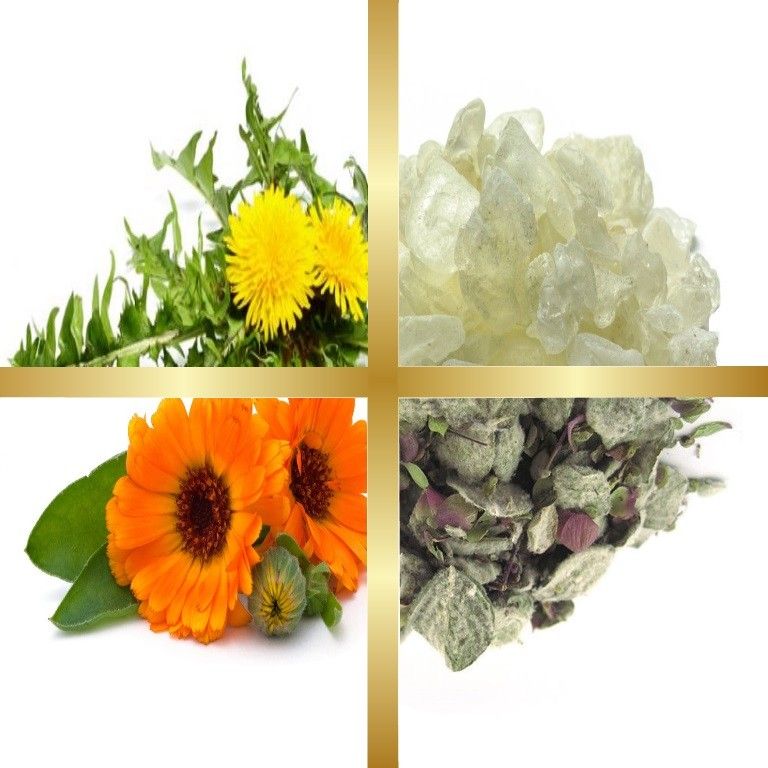 Μίγμα Βαμμάτων με Δίκταμο, Μαστίχα Χίου, Καλέντουλα & Ταραξάκο (Ευεξία Στομάχου) 50ml