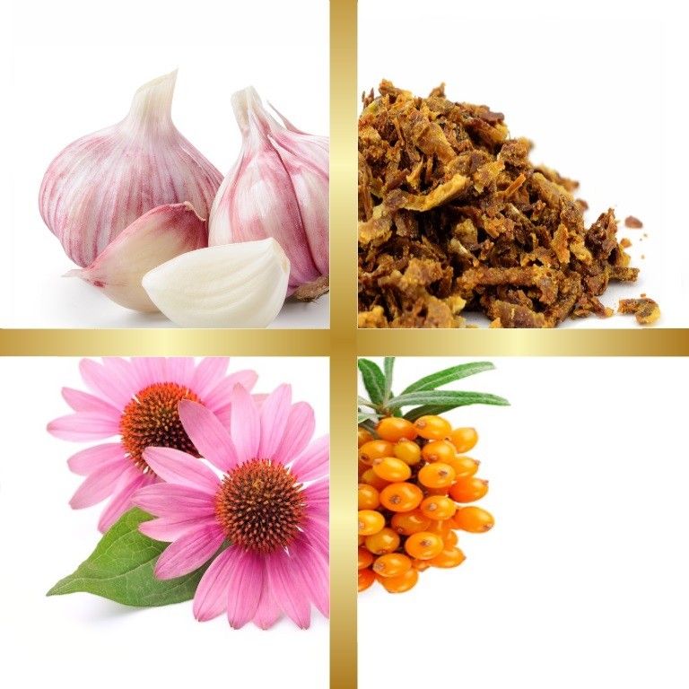 Μίγμα Βαμμάτων με Εχινάκεια, Πρόπολη, Ιπποφαές & Σκόρδο (Ευεξία Ανοσοποιητικού) 50ml