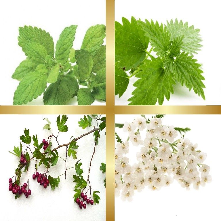 Μίγμα Βαμμάτων με Κράταιγο, Μελισσόχορτο, Τσουκνίδα & Αχιλλαία (Ευεξία Κυκλοφορικού) 50ml